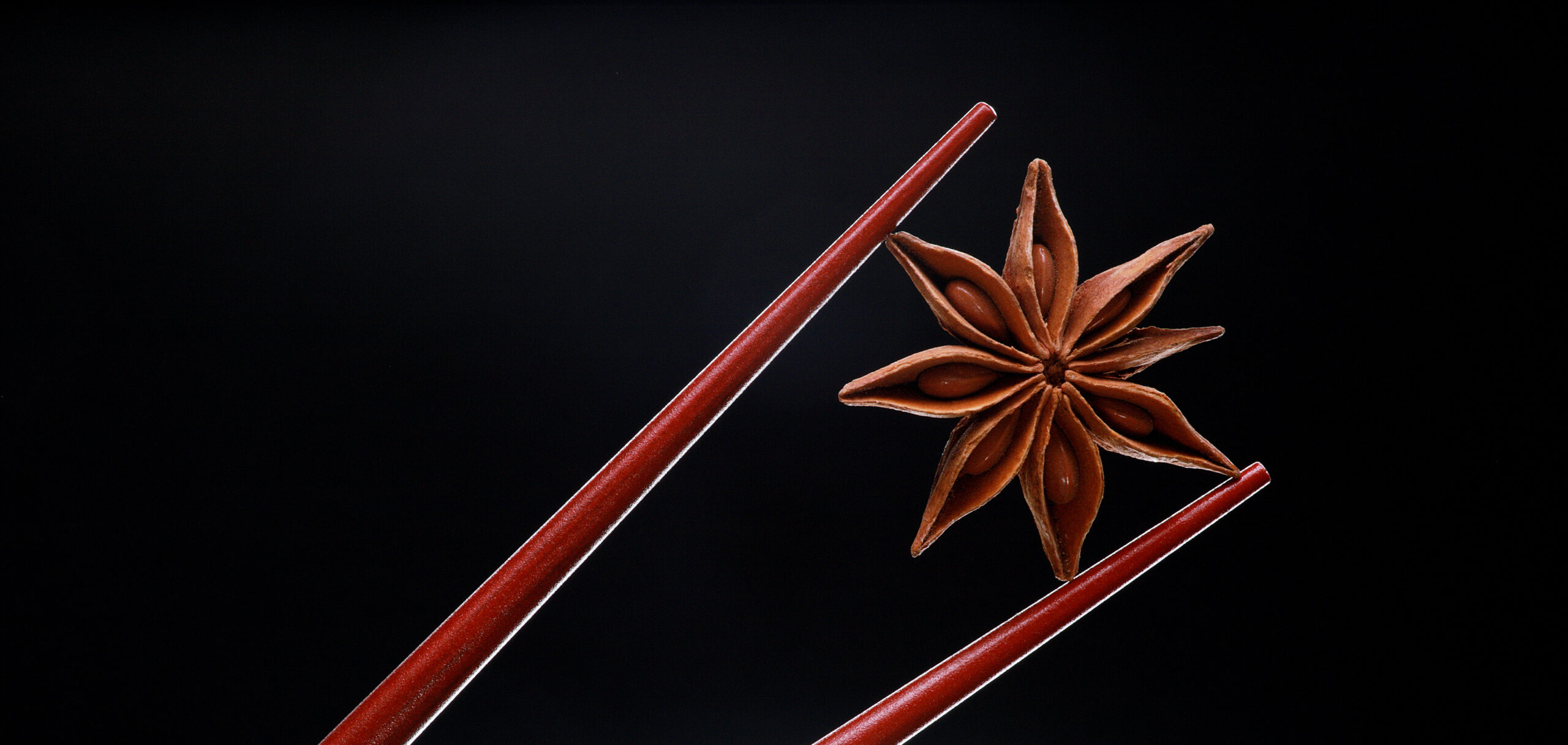 Star Anise: The Celestial Spice with a Galaxy of Benefits