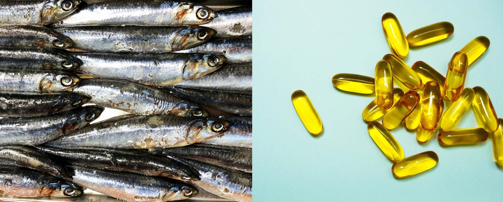 From Brain to Bedroom: Why Fish Oil is Essential for Men’s Health and Longevity